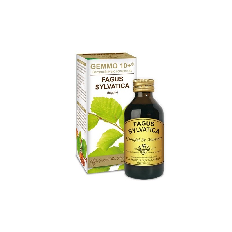 Gemmo 10+ faggio 100 ml liquido analcolico