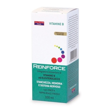 Reinforce vitamina b 100 ml