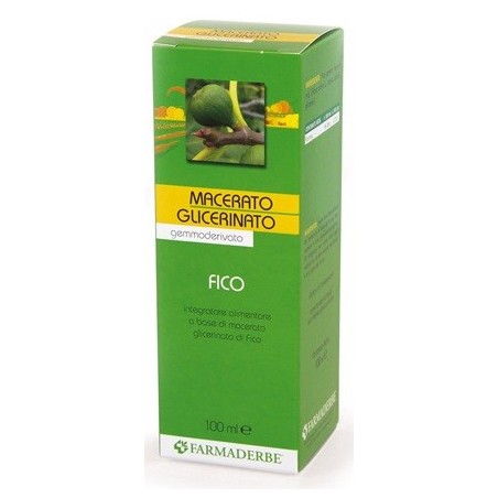 Macerato glicerico fico gemme ficus carica 100 ml