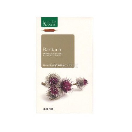 Bardana biologico 20 ampolle bevibili da 15 ml
