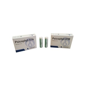 Psicophyt remedy 37b 4 tubi 1,2g