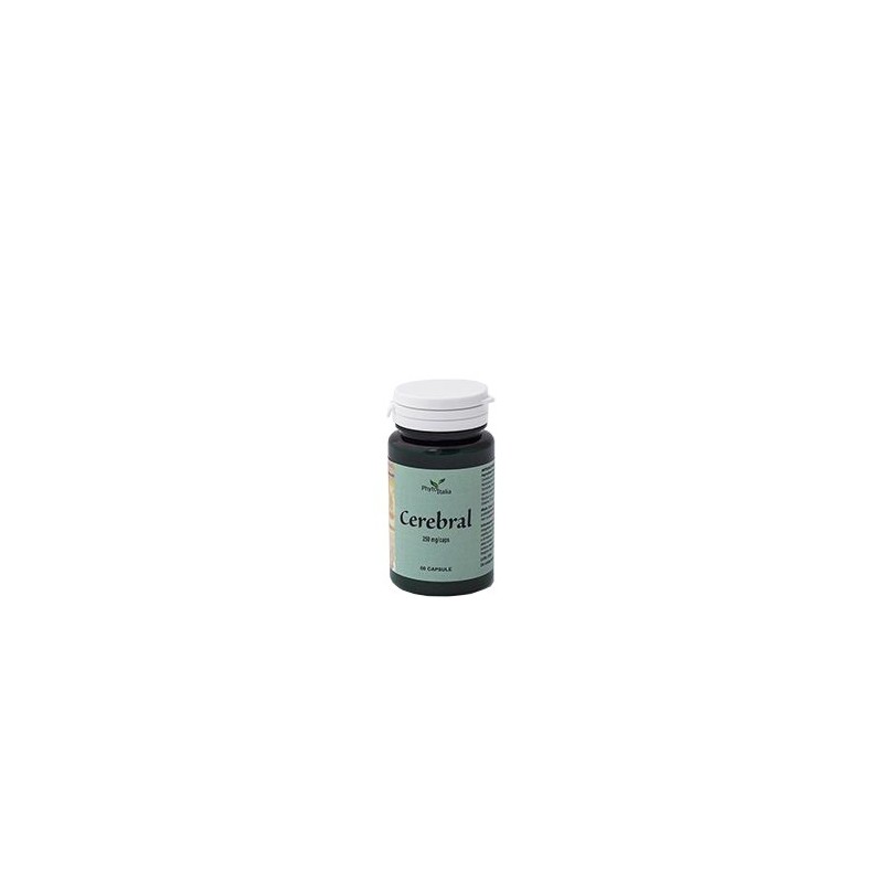 Cerebral ayurved 60 capsule