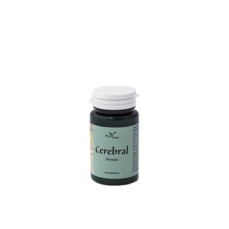 Cerebral ayurved 60 capsule
