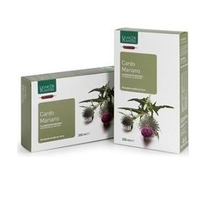 Cardo mariano 20 ampolle bevibili da 15 ml