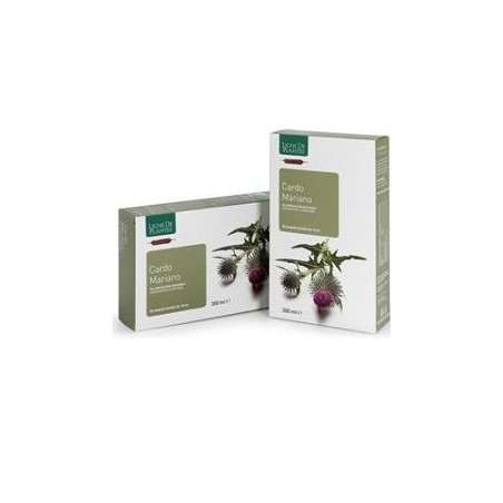 Cardo mariano 20 ampolle bevibili da 15 ml
