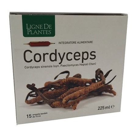 Cordyceps 15 ampolle bevibili da 15 ml