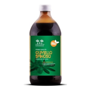 Salugea succo olivello bio 500 ml