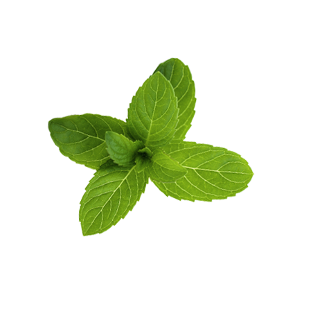 Klorane polvere purificante menta acquatica 50 g Klorane polvere purificante menta acquatica 50 g