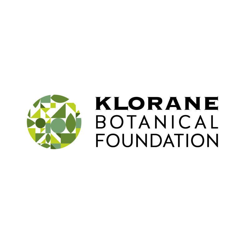 Klorane crema purificante menta acquatica 40 ml