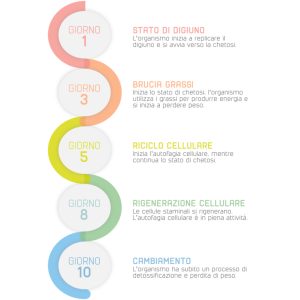 Ketovis box 1 idrovis 20 bustine + 1 aminovis 30 bustine + 1shaker