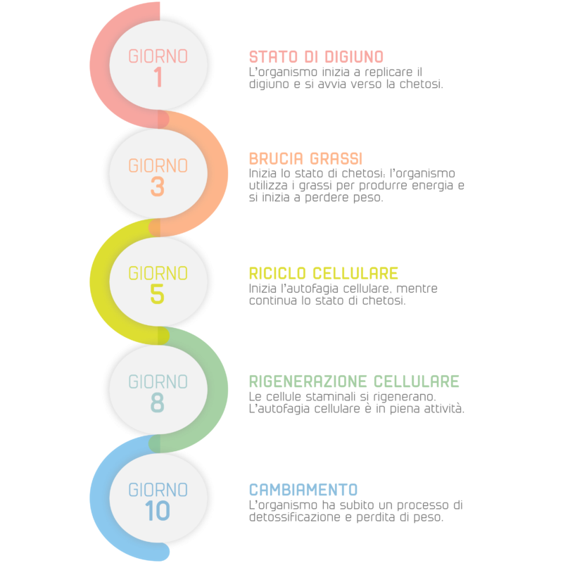 Ketovis box 1 idrovis 20 bustine + 1 aminovis 30 bustine + 1shaker