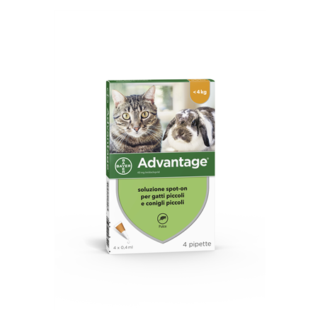 Advantage 40 mg soluzione spot-on per gatti piccoli e conigli piccoli