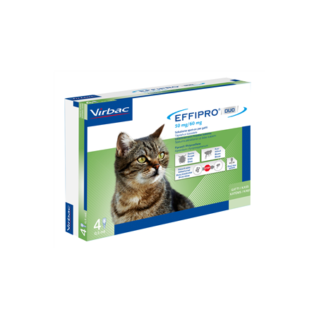 Effipro duo 50 mg/60 mg soluzione spot-on per gatti