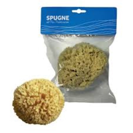 Spugna arcipelago mediterraneo naturale 10