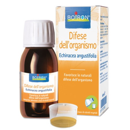 Echinacea ang boi ei 60ml int