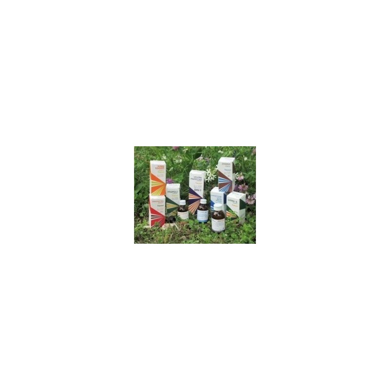 Raemil propoli composto 15 ml