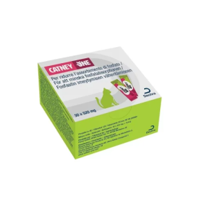 Catney one 30 bustine 520 mg