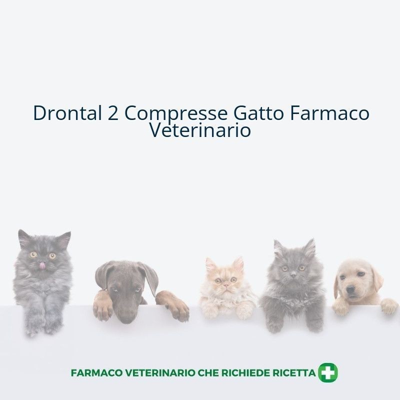 Drontal compresse per gatti