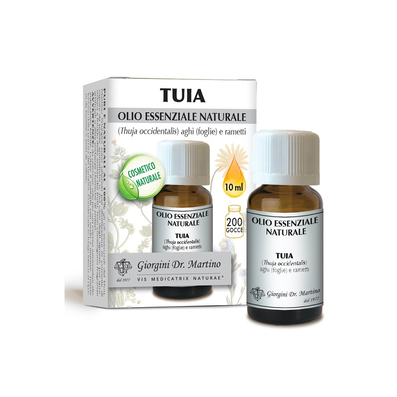 Tuia olio essenziale naturale 10 ml