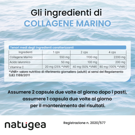 Natugea collagene marino 120 capsule