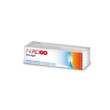 Noflogo emulgel 100 g Noflogo emulgel 100 g