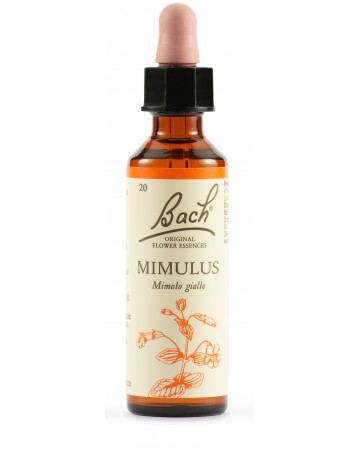 Mimulus bach orig 20ml Mimulus bach orig 20ml