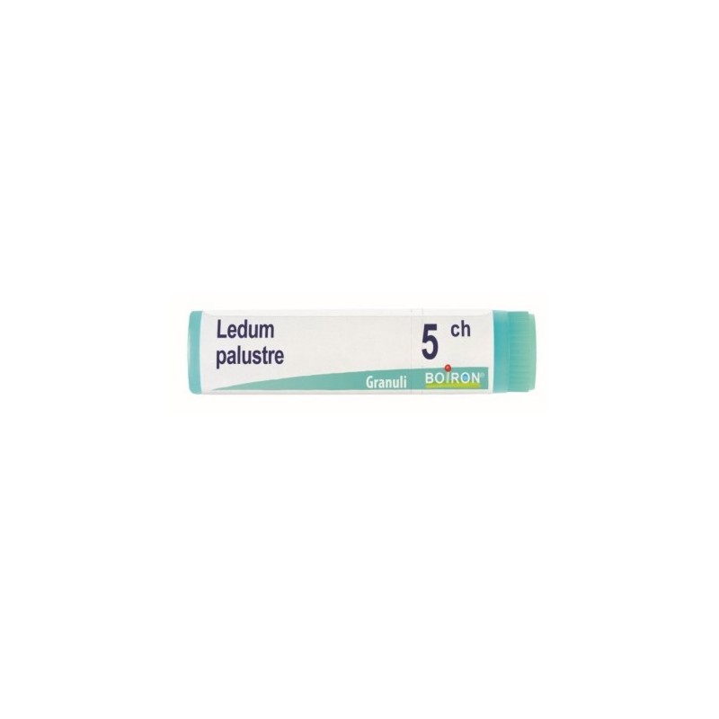 Ledum palustre boiron granuli 5 ch contenitore monodose Ledum palustre boiron granuli 5 ch contenitore monodose