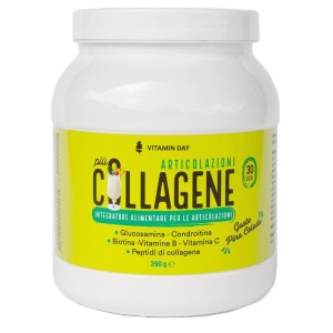Vitamin day collagene articolazioni 390 g