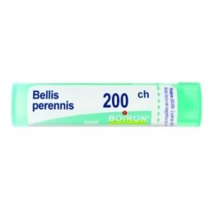 Bellis Peren Boi 200ch Gr 4g