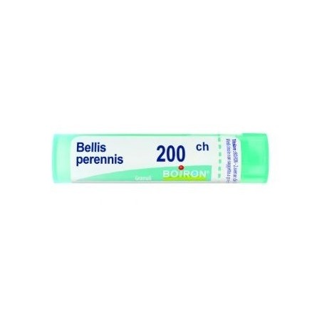 Bellis Peren Boi 200ch Gr 4g Bellis Peren Boi 200ch Gr 4g