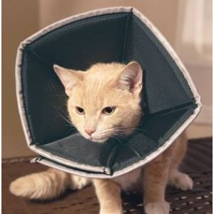 Comfy Cone Collare Elisabettiano Innovativo S Diametro 12,5 Cm