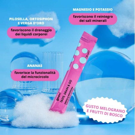 Goovi Drenante Melograno&frutti Di Bosco 24 Stick Pack Goovi Drenante Melograno&frutti Di Bosco 24 Stick Pack