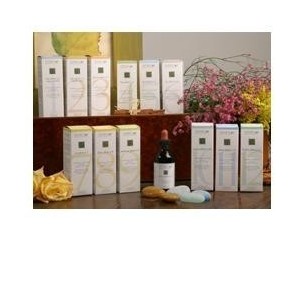 Zef05 Cisto Plant Stv