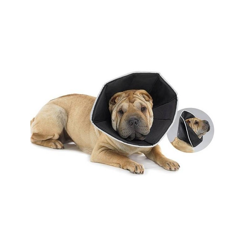 Comfy Cone Collare Elisabettiano Innovativo M Diametro 20 Cm
