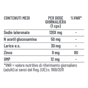 Mycli Suplus H24 Hya Refill 60 Capsule Mycli Suplus H24 Hya Refill 60 Capsule