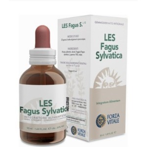 Les Fagus Silvatica Gocce 50 Ml