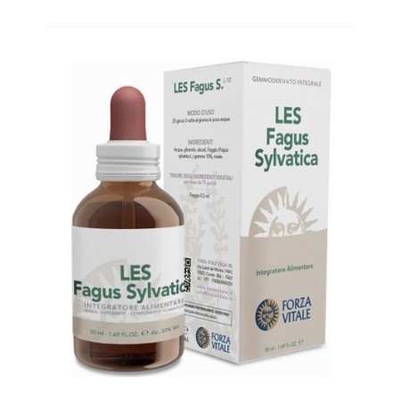 Les Fagus Silvatica Gocce 50 Ml