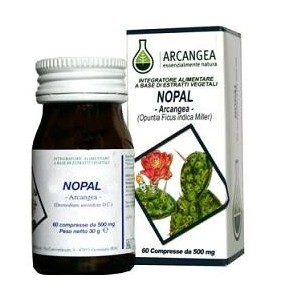Nopal 60 Capsule 500 Mg