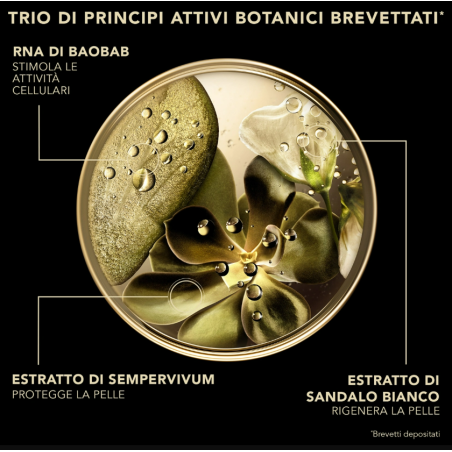 Premium Il Siero Assoluto 25 30 Ml Premium Il Siero Assoluto 25 30 Ml