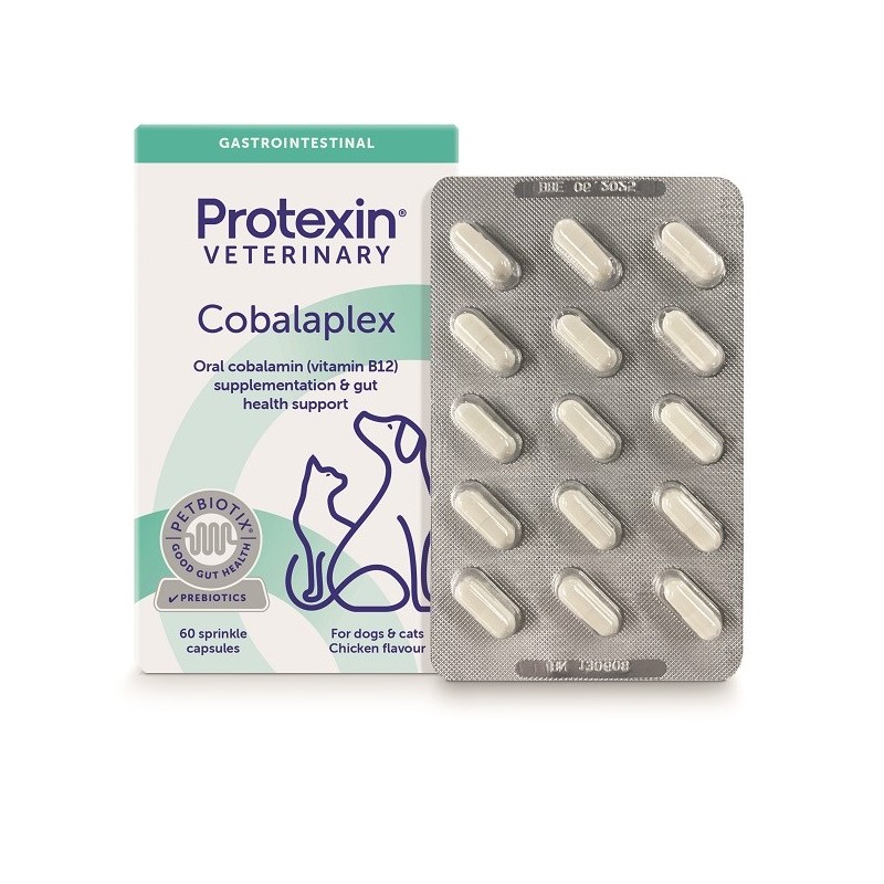 Cobalaplex 60 Capsule Cobalaplex 60 Capsule
