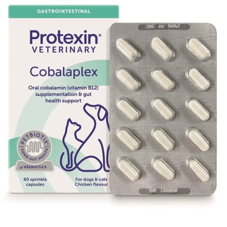 Cobalaplex 60 Capsule Cobalaplex 60 Capsule