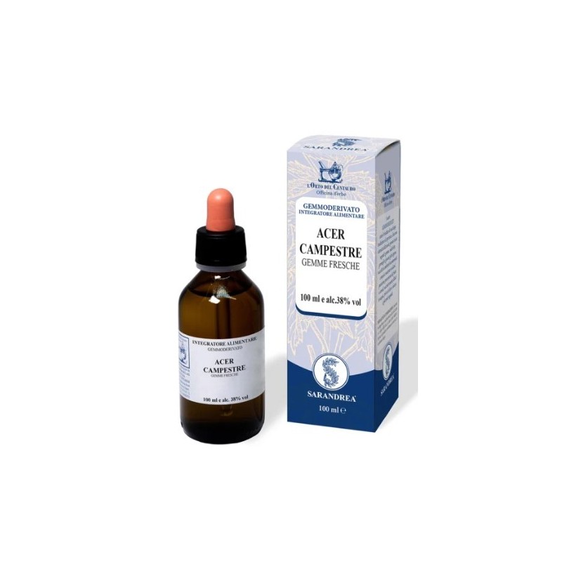Acer Campestre 60 Ml Macerato Glicerico