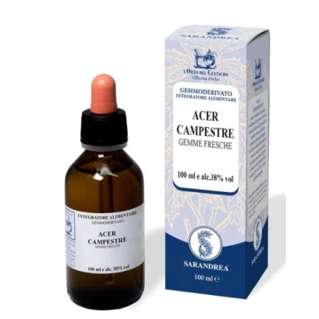 Acer Campestre 60 Ml Macerato Glicerico