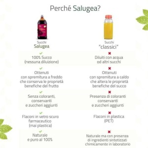 Salugea Succo Acerola Bio 500 Ml