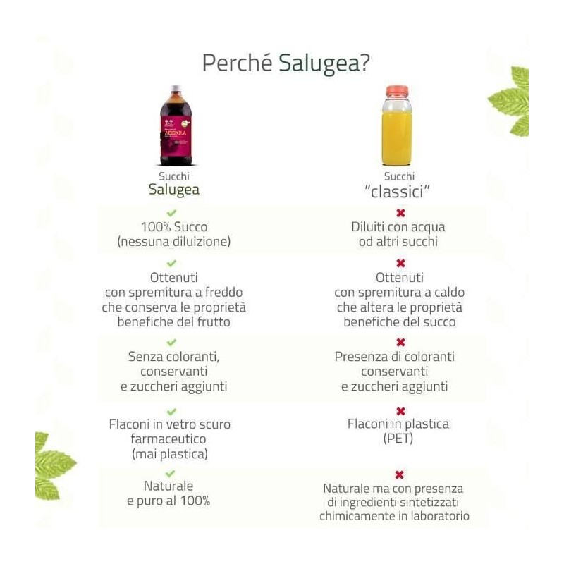 Salugea Succo Acerola Bio 500 Ml