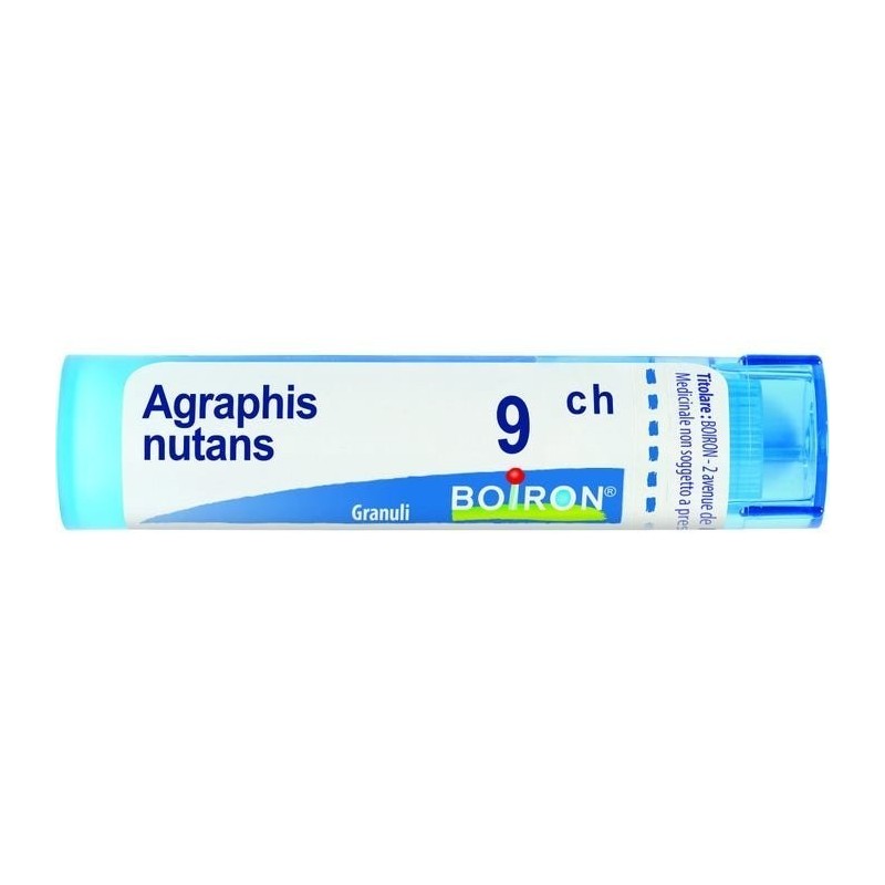 Agraphis Nut Boi 9ch Gr 4g Agraphis Nut Boi 9ch Gr 4g