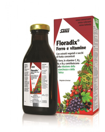 Floradix 250ml