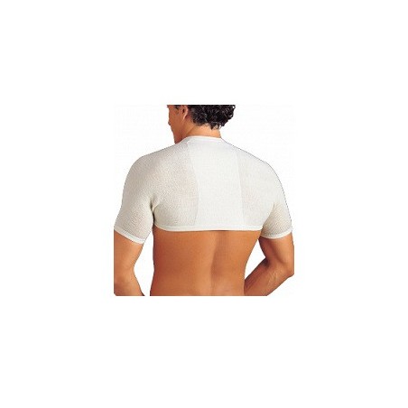Gibaud coprisp anat 5