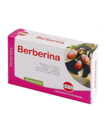 Berberina estratto secco 60 compresse