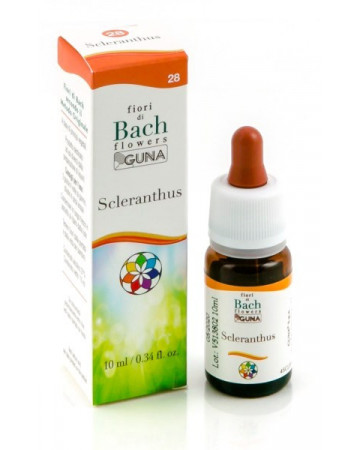 Scleranthus gun gtt 10ml Scleranthus gun gtt 10ml